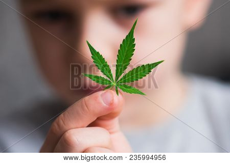 Smiling Kid Child Holding A Hemp Leaf. Concepts Of Using Marihuna For Medicinal Purposes For Childre