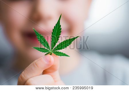Smiling Kid Child Holding A Hemp Leaf. Concepts Of Using Marihuna For Medicinal Purposes For Childre