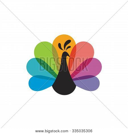 Colorful Peacock Logo, Peacock Bird Vector Icon