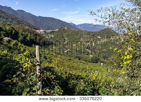 Picturesque Hills With Vineyards Of The Prosecco Sparkling Wine Region In Guietta And Guia. Italy.