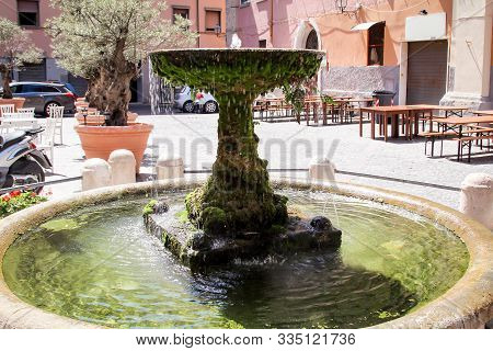 An Old Well Overgrown With Mosses And Ferns In Urban Surroundings