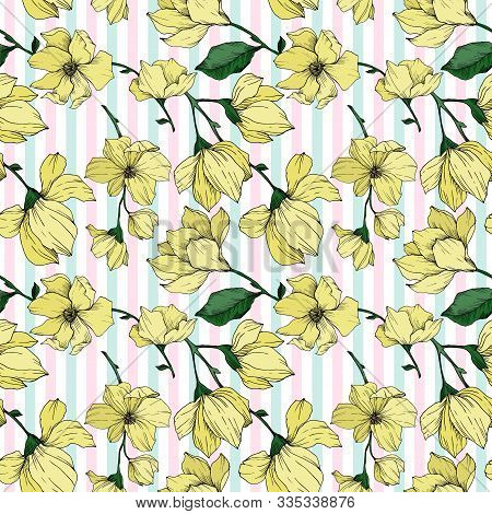 Vector Magnolia Floral Botanical Flowers. Black And White Engraved Ink Art. Seamless Background Patt