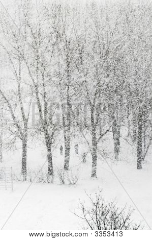 Snowfalling