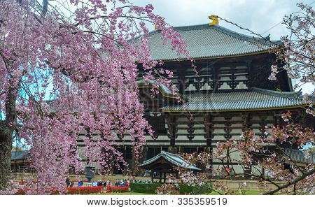Buddhist Temple Todai-ji With Cherry Blossom