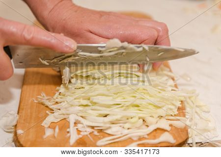 Chop Cabbage. Harvesting Cabbage. Homemade Blanks. A Lot Of Cabbage Close-up. Cut The Camouflage.