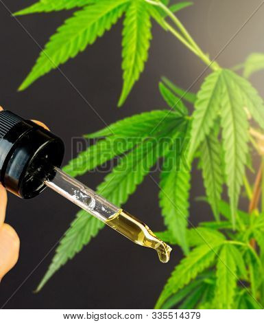 Full Frame Shot Of Cannabis Plant And Cannabis Cbd Oil Eyedropper