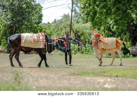 Young Indian Man Celebrating Pola Festival In Village