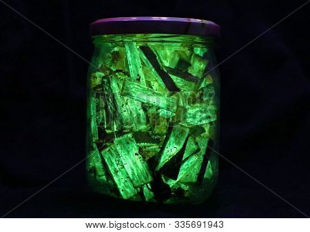 Jar Full Of Biolumincent Wood With Armillaria Mellea Mycelium