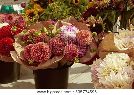 Bouquet Of Fresh Dahlia Flowers For Sale At A Farmers Market In Copley Square, Boston, Massachusetts