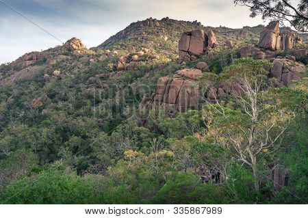 View Up To Giant Boulders Mountain And Eucalyptus Forest. Freycinet National Park, Tasmania In Austr