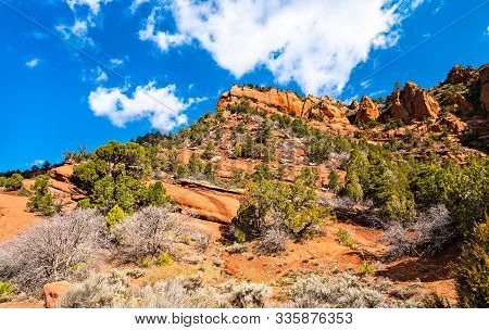 Landscape Of Kolob Canyons In Zion National Park - Utah, United States
