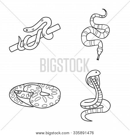 Vector Illustration Of Snake And Creepy Icon. Collection Of Snake And Danger Stock Vector Illustrati