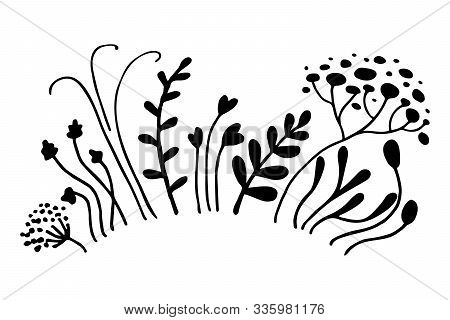 Simple Set Of Outlandish Hand Drawn Black Line Different Herbs And Flowers. Bunch Of Flowers In Form