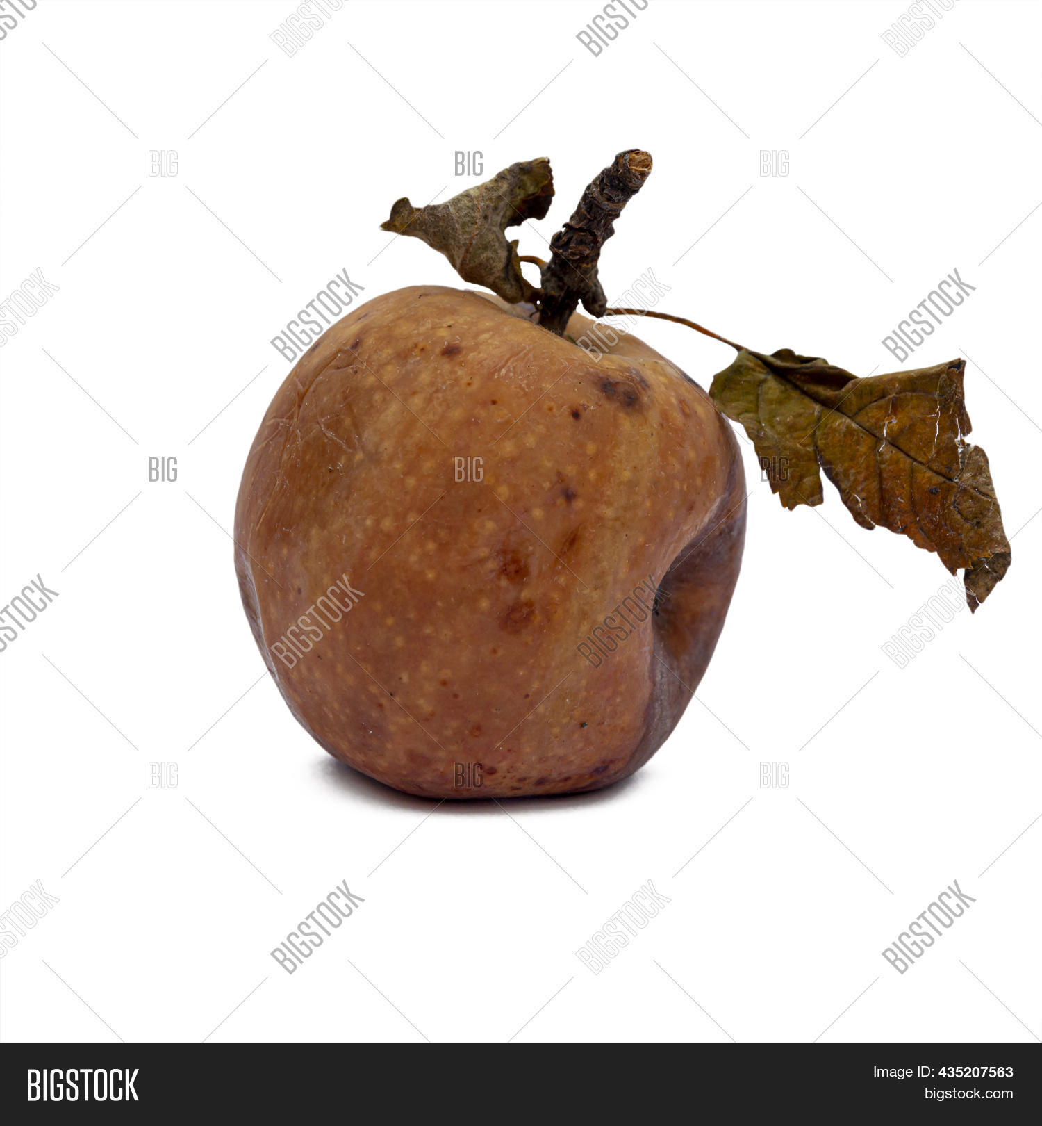 Rotting Apples, Decay Image & Photo (Free Trial) Bigstock