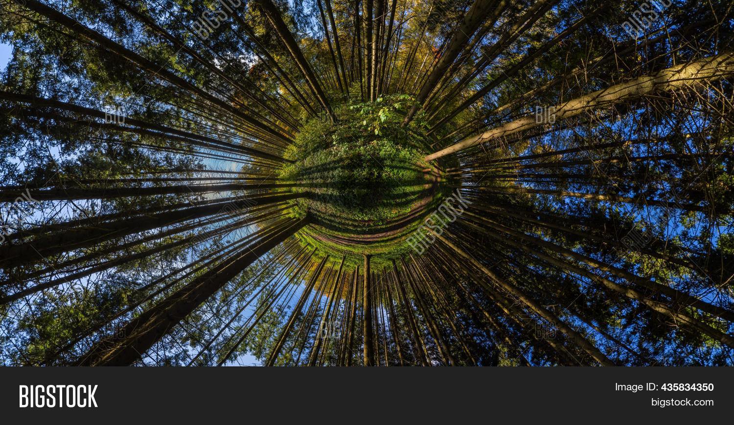 360 degree hyperbolic image photo free trial bigstock