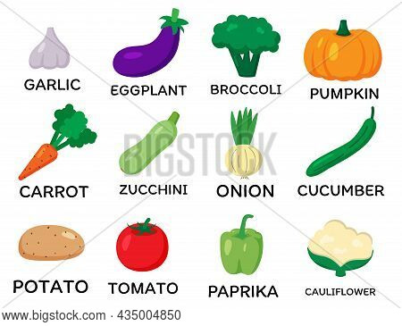 Set Of Vector Vegetables. Cartoon Flat Style. Garlic, Eggplant, Broccoli, Pumpkin, Carrot, Zucchini,