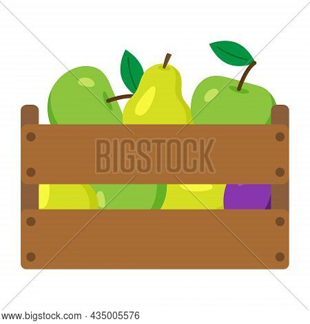 Wooden Box With Harvest Fruits. Apples, Pears And Plums In It. Farmers Harvest, Crop. Fresh Organic 
