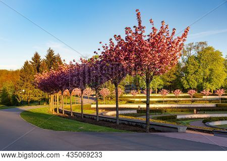 Small Lake And Rosarium In Cytadela Park At Spring Morning, Poznan, Poland