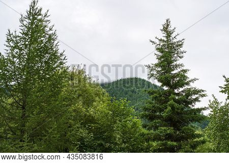 Vacation Landscape. Russian Altai Mountains. Multa Region. Holiday At Home. Staycation Concept. Long