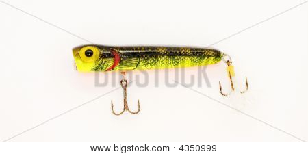 Topwater Plug