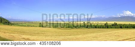 Uymon Valley In The Altai Mountains. Panorama Of A Mountain Plain, A Mown Field On A Sunny Day Under