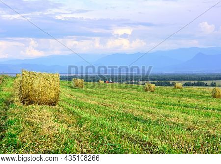 A Rural Field In Summer Under A Blue Sky In The Altai Mountains. Siberia, Russia