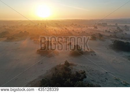 Aerial from sunrise in the forest from Friesland in the Netherlands