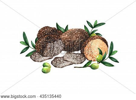 Truffles And Olives On White Isolated Background. Watercolor Illustration Isolated On White Backgrou