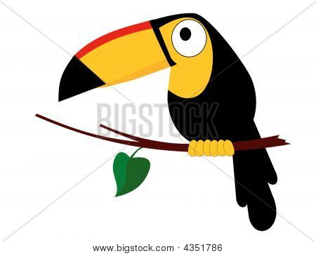 大嘴鸟