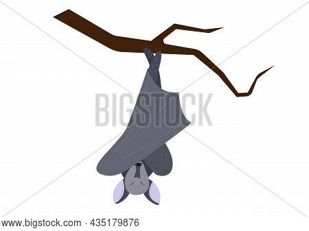 Cute Vector Bat On A White Background, Element For Halloween Decorations, Childrens Illustration