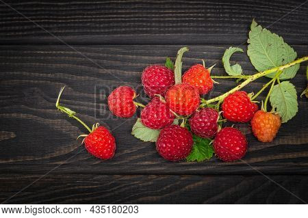 Branch Of Ripe Red Raspberries With Leaves Lies On A Dark Vintage Table After Harvest. Free Advertis