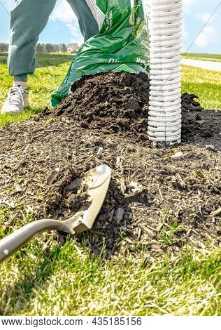 Man Pour Fertile Soil From Bag On Ground Surface Around Growing Tree With Blurred Foreground Of Stai