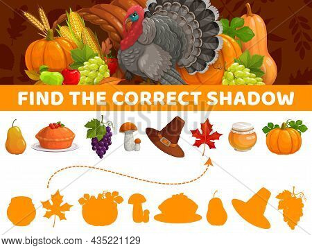 Find Correct Shadow, Thanksgiving Autumn Items, Vector Kids Game Or Tabletop Riddle. Find And Match 