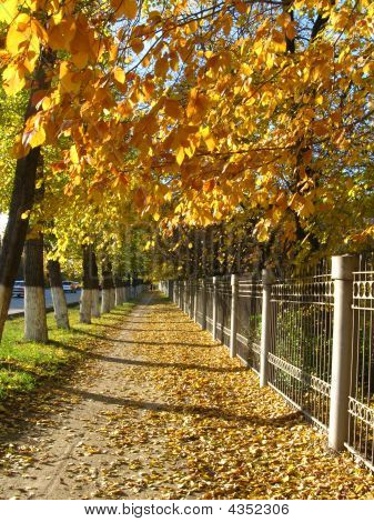 Atumn Alley
