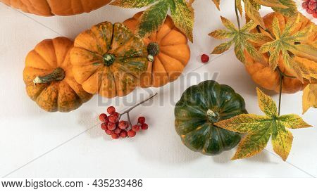 Autumn Set Of Pumpkins, Maple Leaves And Rowan Berries On White Background