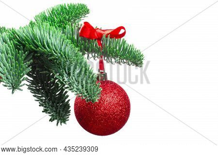 Christmas Evergreen Spruce Noble Fir Tree And Red Glitter Glass Bauble Ball Isolated On White Backgr