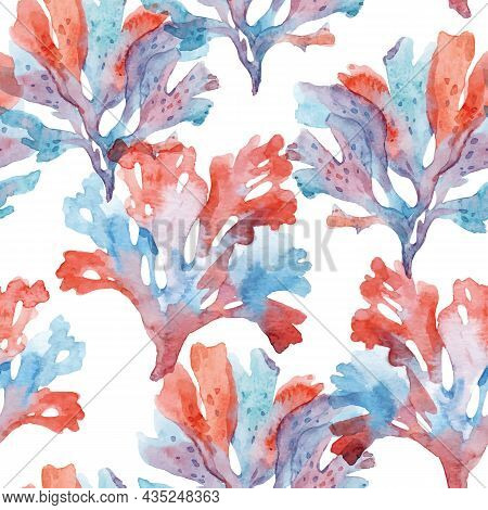Beautiful Vector Seamless Underwater Pattern With Watercolor Sea Life Coral Shell And Starfish. Stoc