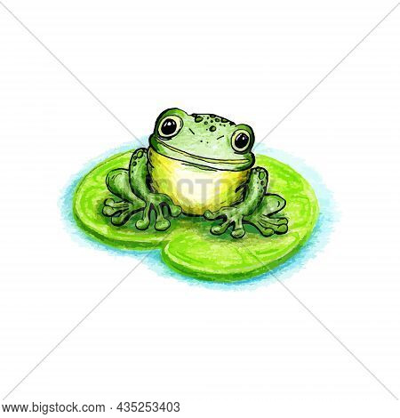 Cute Frog Sitting On A Piece Of Paper, Drawing On A White Background