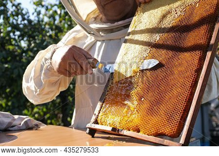 Senior Beekeeper Uncapping Honeycomb Frame With Knife At Table Outdoors, Closeup