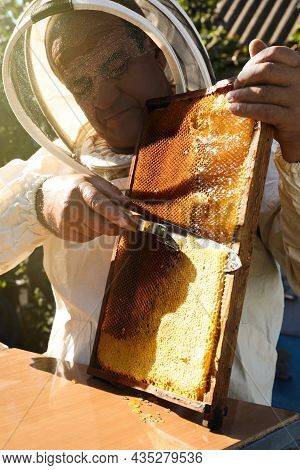Senior Beekeeper Uncapping Honeycomb Frame With Knife At Table Outdoors