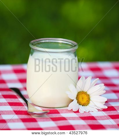 Yogurt fresco naturale In un vasetto di vetro