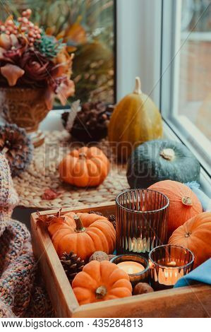 Autumn Cozy Mood Composition On The Windowsill. Pumpkins, Cones, Candles On Wooden Tray, Fflowers An