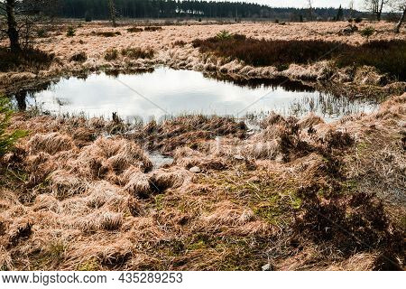 The High Fens, Hoge Venen, Belgium, Signal Van Botrange