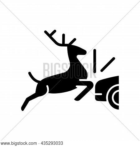 Collision With Animals Black Glyph Icon. Colliding With Wildlife And Livestock In Roadway. Situation