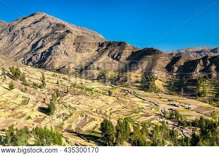 Terraced Fields At Huambo Near The Colca Canyon In The Arequipa Region Of Peru