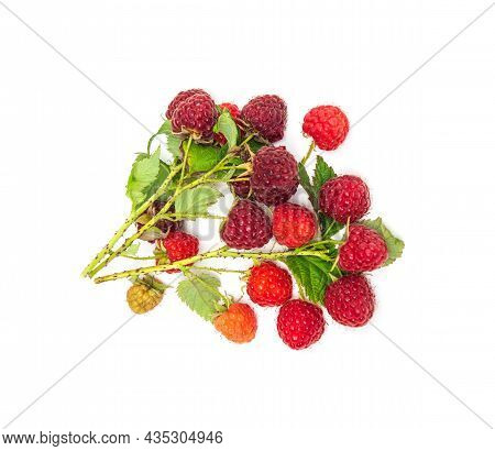 Branches Of Ripe Red Raspberries. Lots Of Raspberries With Leaves Isolated On White