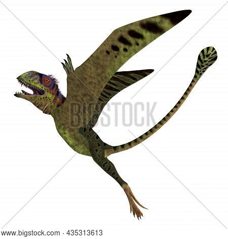 Peteinosaurus Reptile Rising 3d Illustration - Peteinosaurus Was A Carnivorous Pterosaur That Lived 