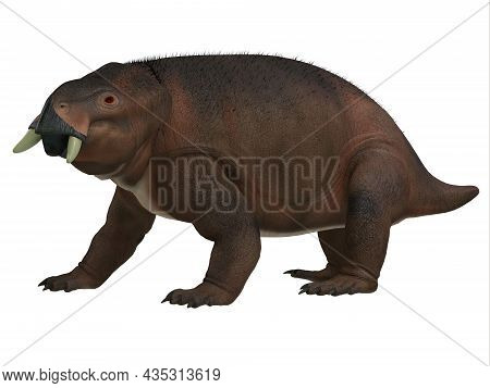 Placerias Triassic Dicynodont 3d Illustration - Placerias Was A Herbivorous Therapsid Dicynodont Tha