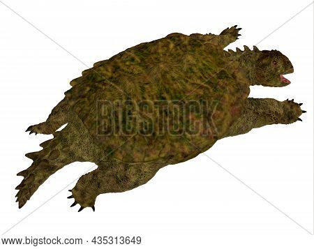Proganochelys Turtle Back 3d Illustration - Proganochelys Was A Marine Turtle That Lived In The Seas