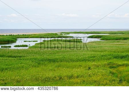 Nature Reserve Randu Meadows, Located On The Eastern Shore Of The Gulf Of Riga In The Baltic Sea